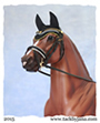 Flash bridle for model horses made by Jana Skybova